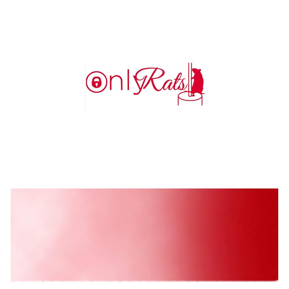 Only Rats- Funny Rats Vinyl Decals Car, Laptop, Windows, Phone Case Sticker - Picture 11 of 14